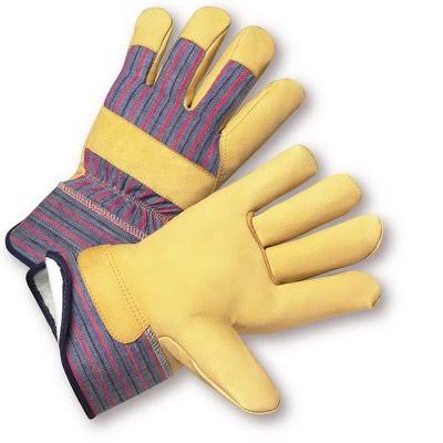 Premium Grain Pigskin Thinsulate Lined X628409