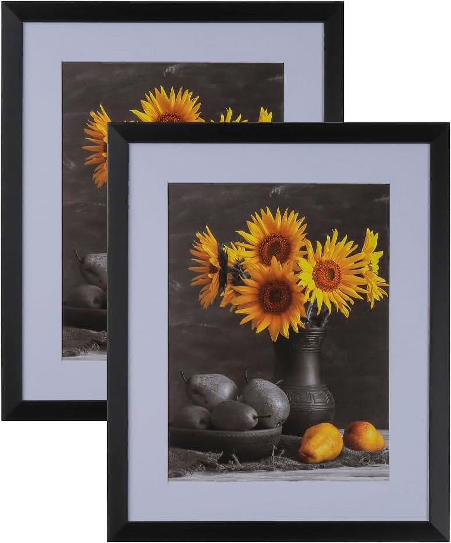 Black 20x24 Picture Frames Set of 2 V759