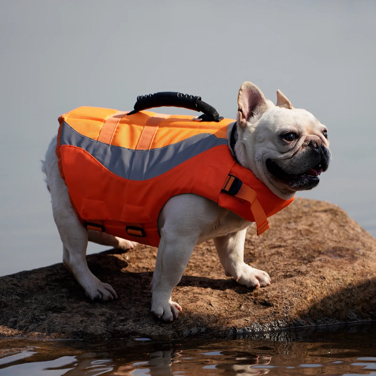 Dog Life Jacket Pet Life Vest Flotation Device E521166