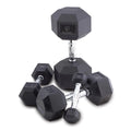 Rubber Encased Hex Dumbbells 65 lb. J25096