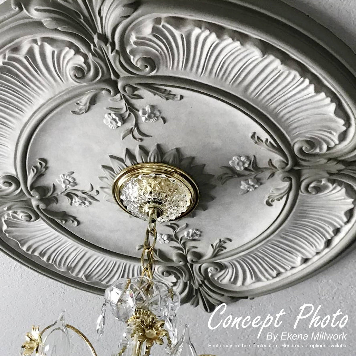 13 3/4x22OD x 1x22P Ceiling Medallion, Hand-Painted Frost S221