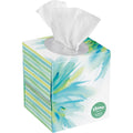 White 2-Ply Lotion Facial Tissue, 65 Sheets, 27 Boxes V64068