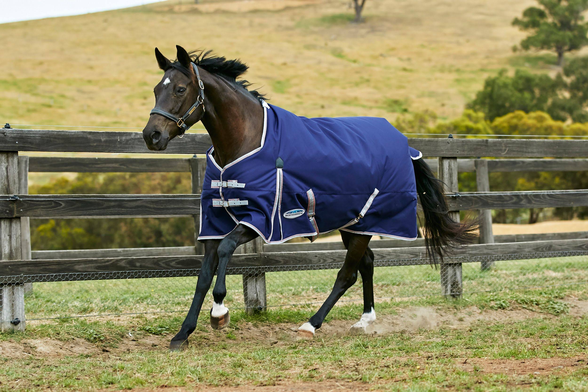 Navy/Silver/Red Stand Neck Heavy Weight Turnout Blanket K246326