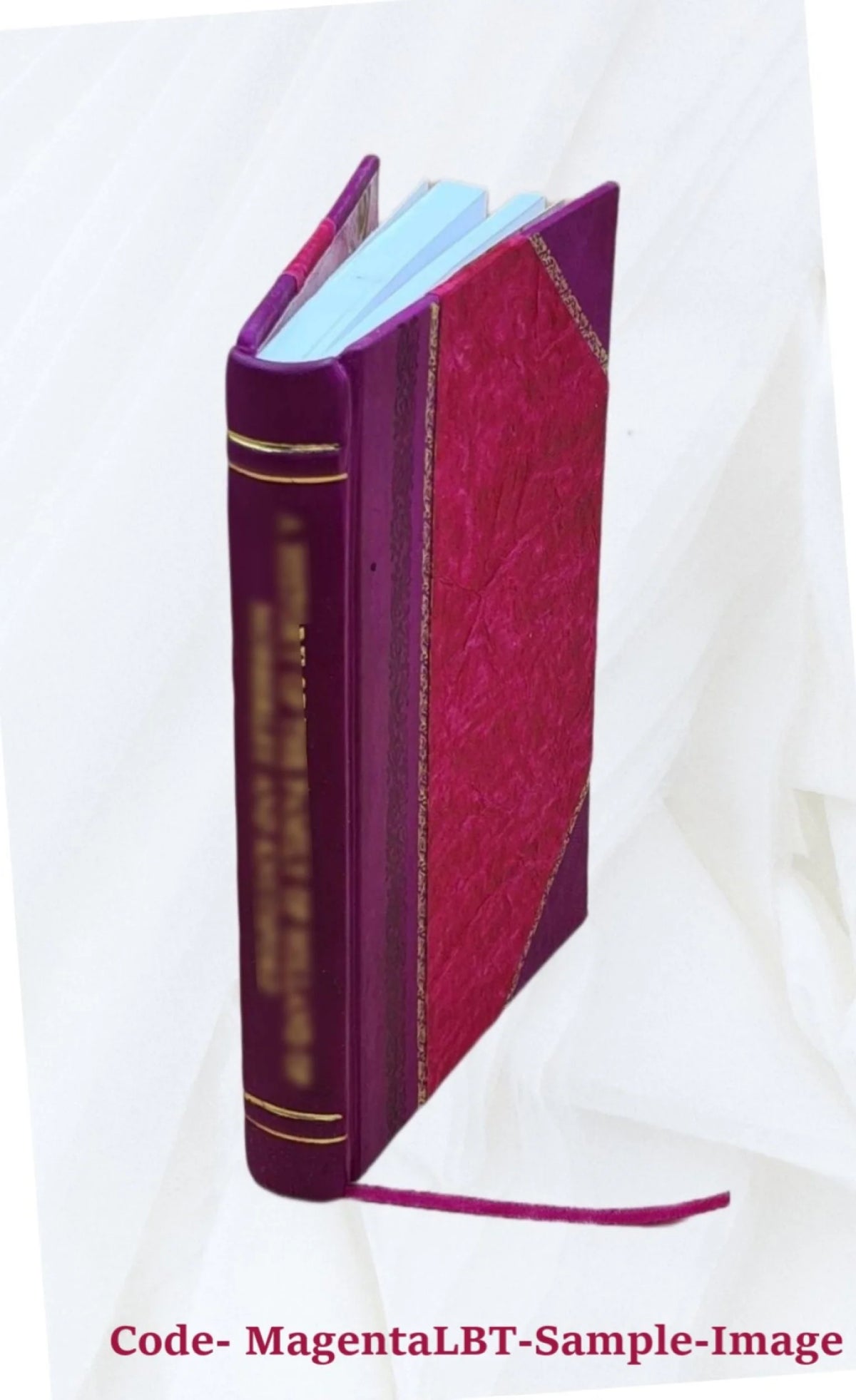 Leather Bound Book T465