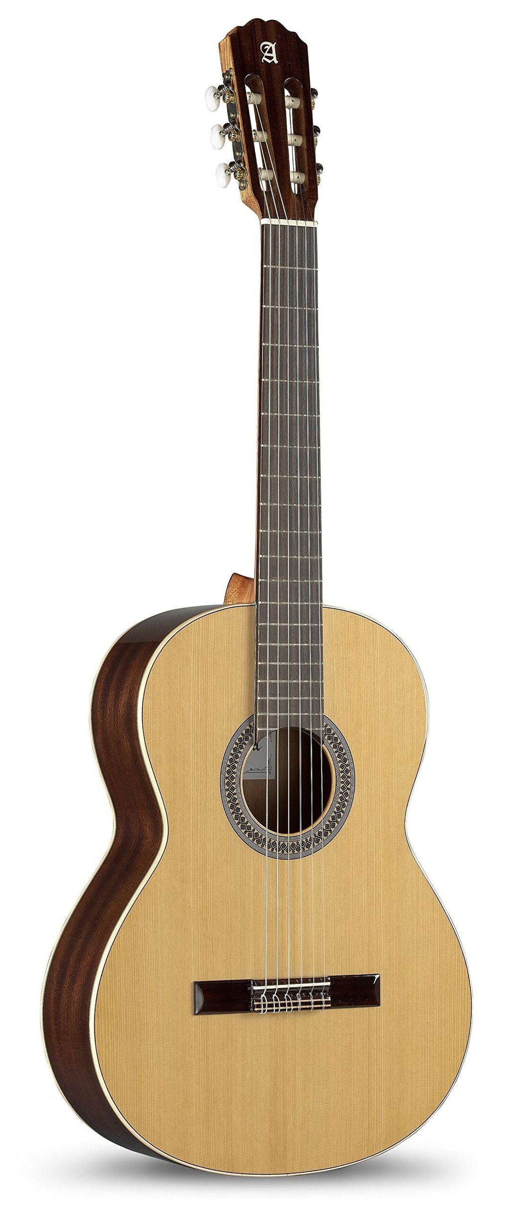 Classical Student Guitar W20566