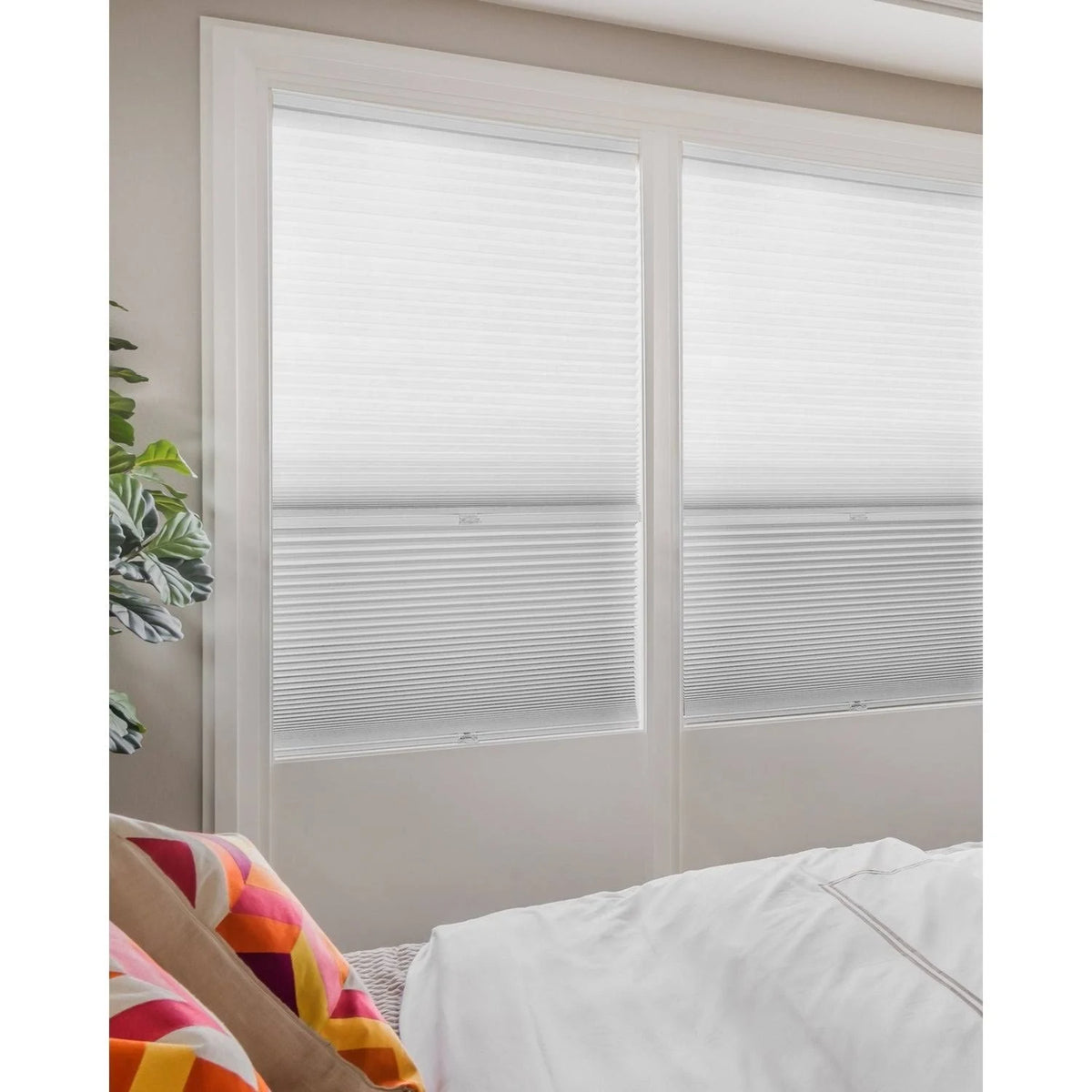 Cordless Cellular Shades Y715217