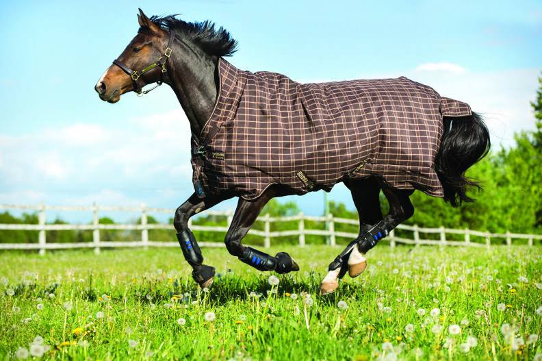 Lightweight 100g Turnout U3884