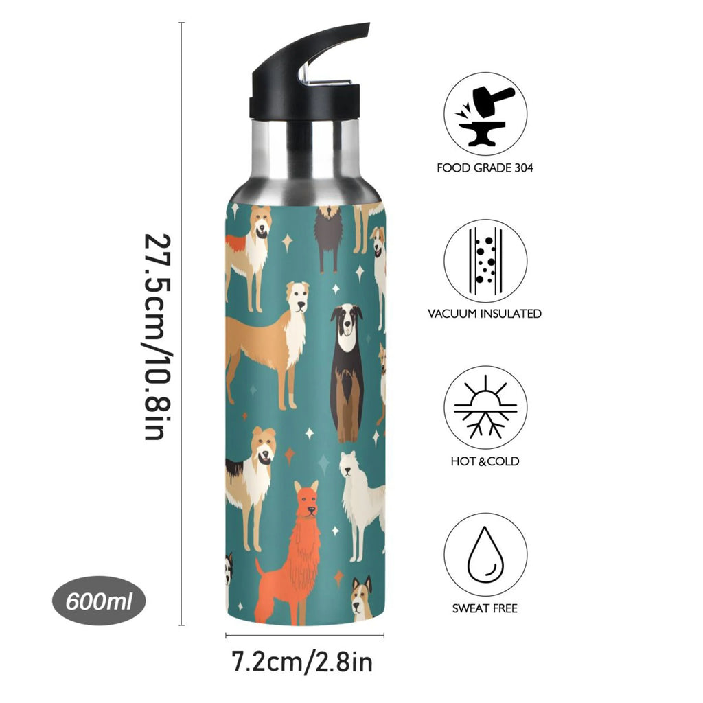 20 oz Insulated Stainless Steel Water Bottle with Straw Lid A669