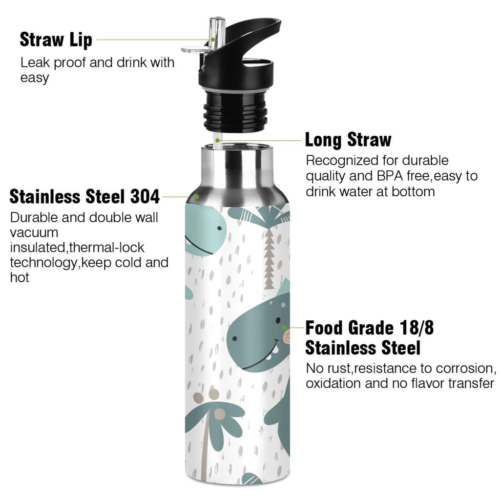 Stainless Steel Insulated Water Bottle with Straw Lid M92819