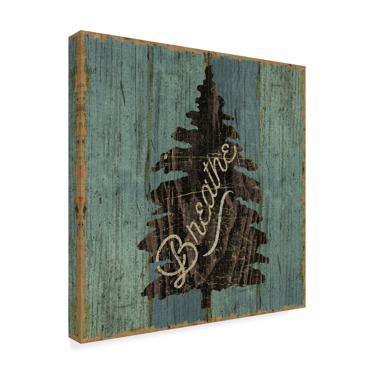 Canvas Art by Sue Schlabach H19575