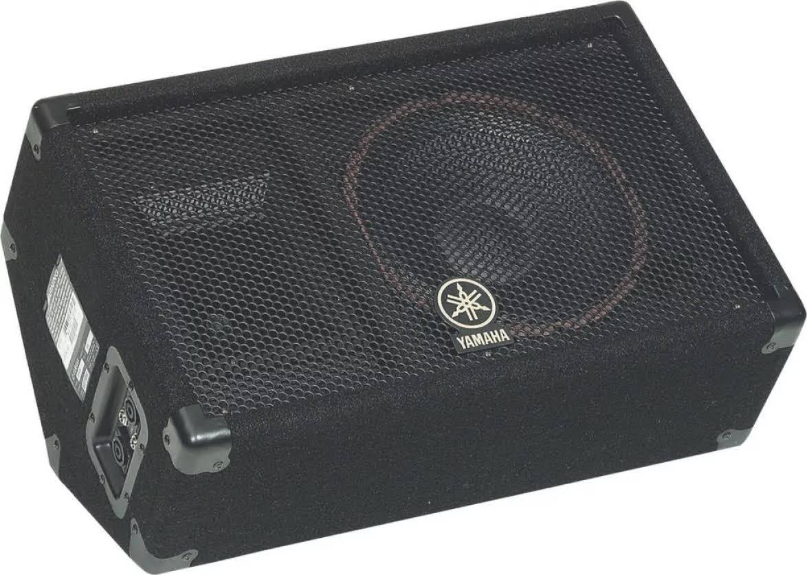 10x22 Floor Monitor I885