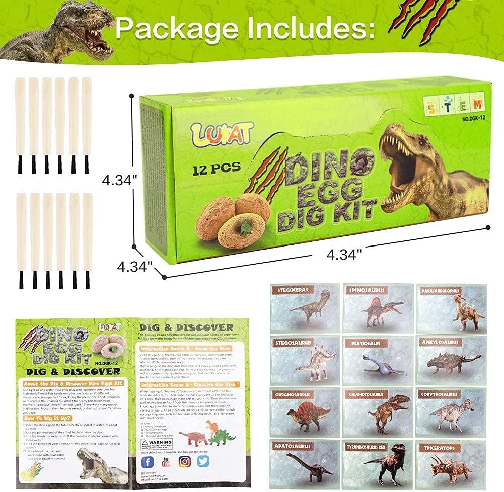 12 PCS Dinosaur Excavation Toys with Dinosaur Eggs D997774