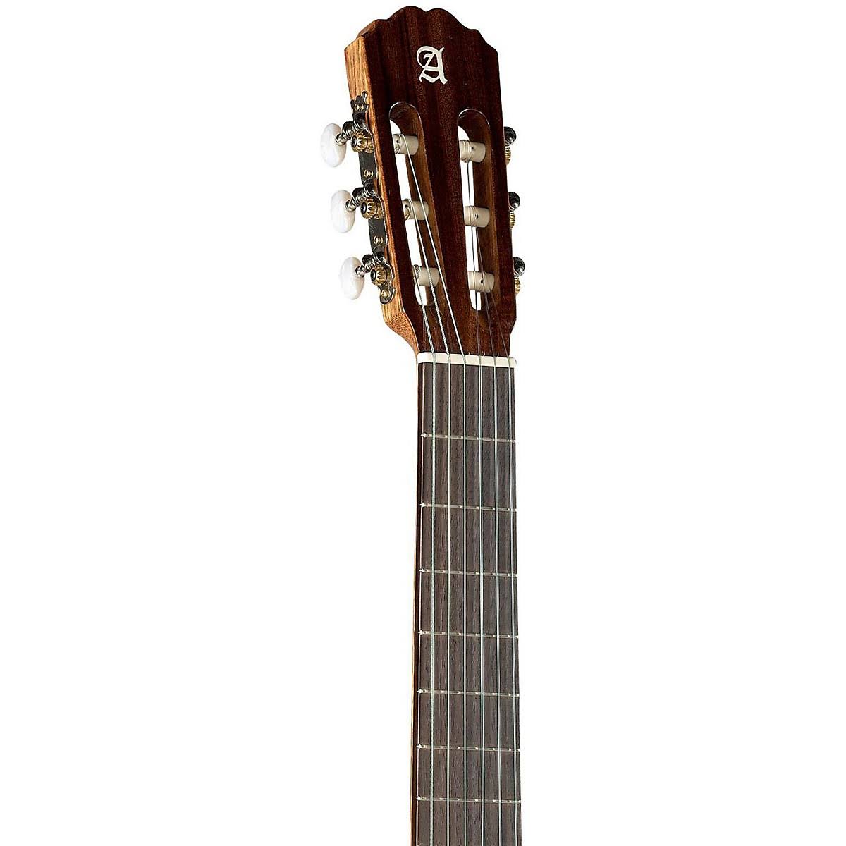 Classical Student Guitar W20566