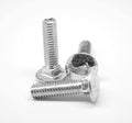 1/4x22-20 x 2x22 (FT) Coarse Thread Carriage Bolt Stainless Steel 316 G800