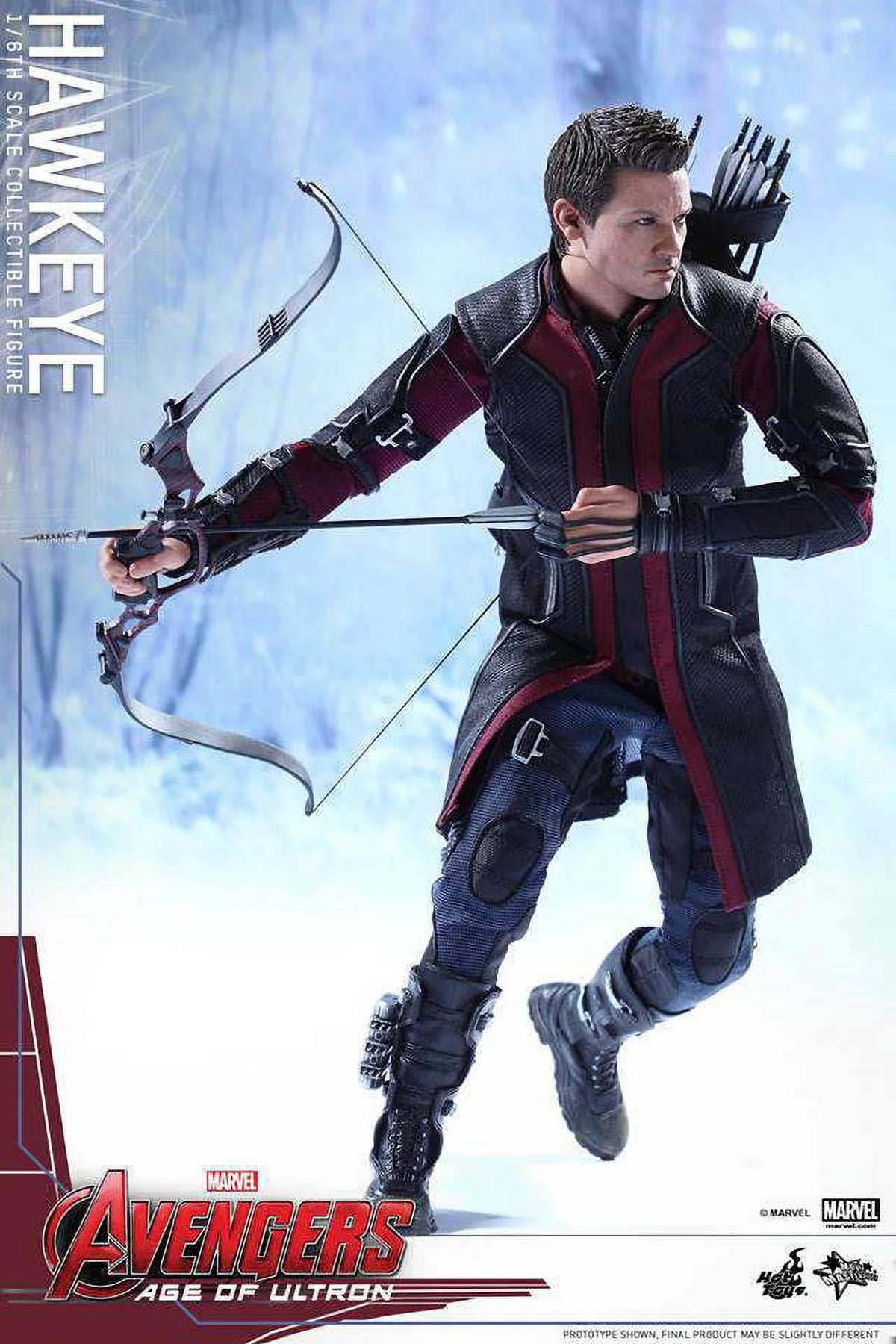 1/6 Action Figure Hawkeye D6647