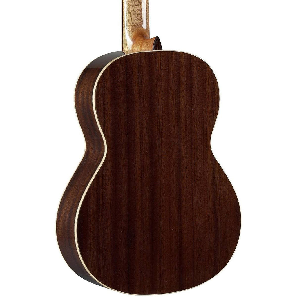 Classical Student Guitar W20566