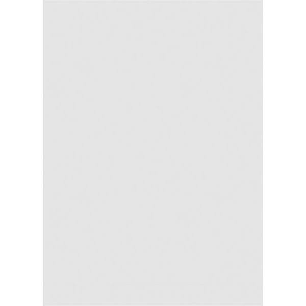 PVC Vertical Surface Mount Gable Vent with Brickmould C357560