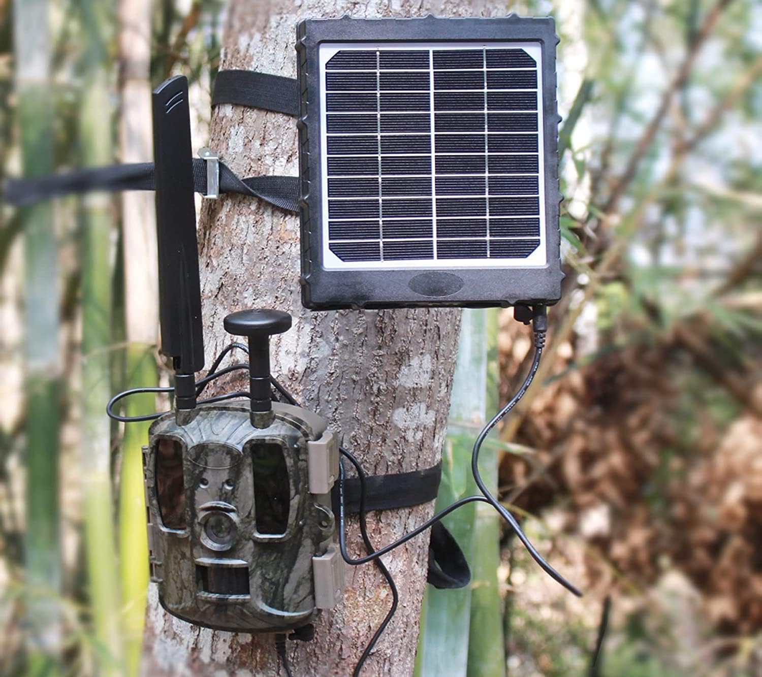Trail Camera Solar Panel Kit with 8000 mAh Rechargeable Lithium Battery V631