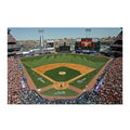 Giant Removable Wall Decal D5777