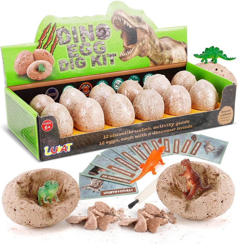 12 PCS Dinosaur Excavation Toys with Dinosaur Eggs D997774