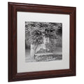 Matted Framed Art R603