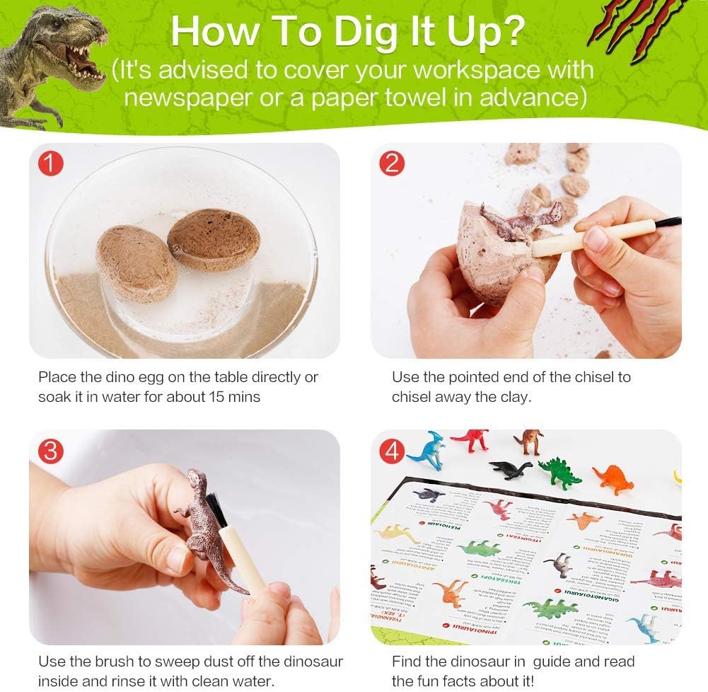 12 PCS Dinosaur Excavation Toys with Dinosaur Eggs D997774