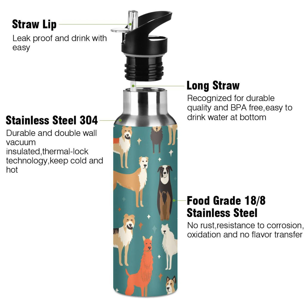 20 oz Insulated Stainless Steel Water Bottle with Straw Lid A669