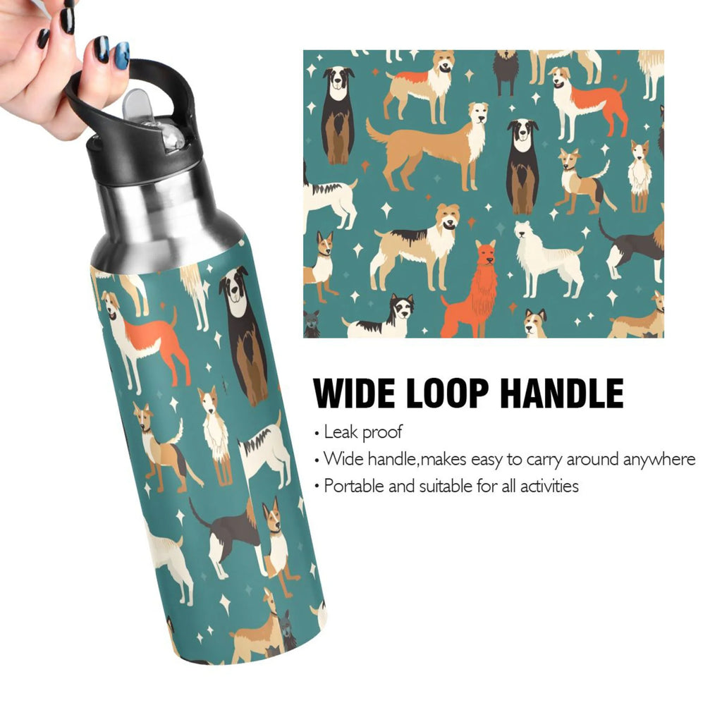 20 oz Insulated Stainless Steel Water Bottle with Straw Lid A669