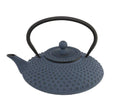 42 fl oz Blue Cast Iron Teapot B693683