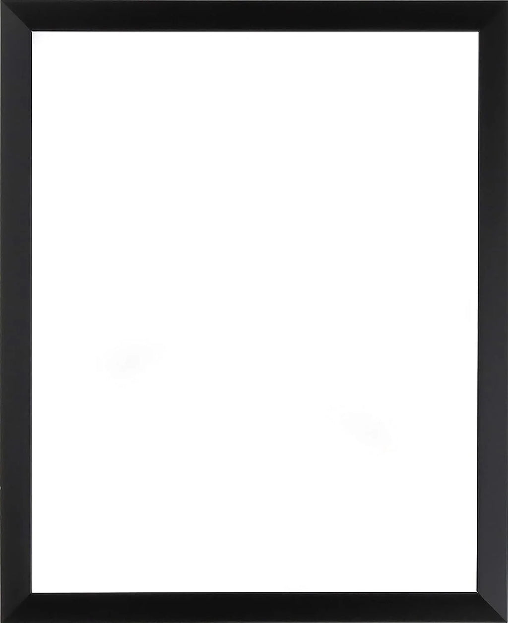 Black 20x24 Picture Frames Set of 2 V759