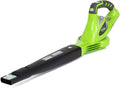 40V Cordless Leaf Blower with 2.0Ah Battery and Charger Q77367