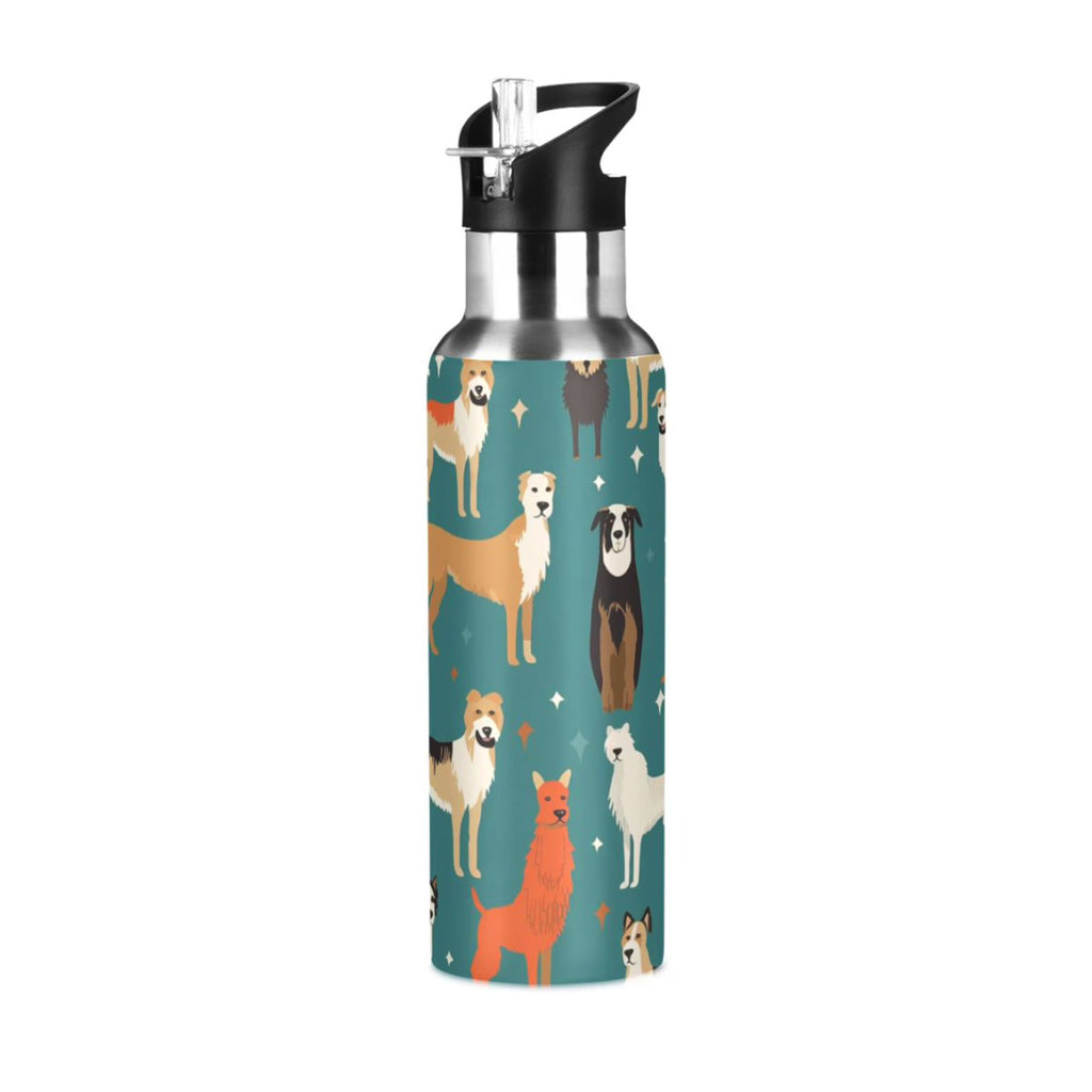 20 oz Insulated Stainless Steel Water Bottle with Straw Lid A669