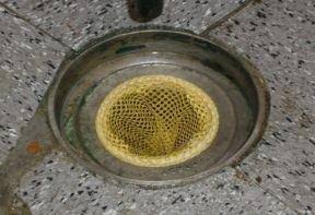 Disposable Floor Drain Strainers - 20 Pack Z40980